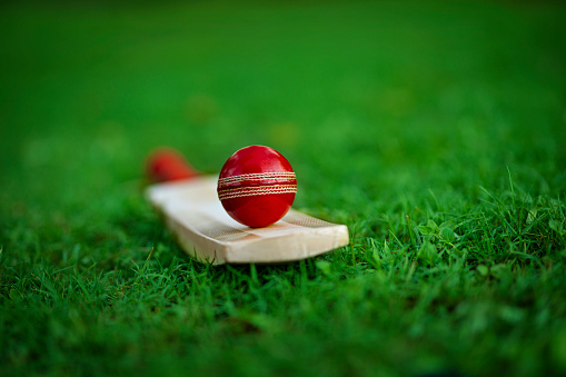 The funniest thing ever seen on a cricket